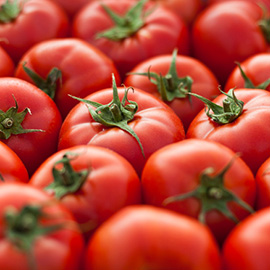 Tomate
