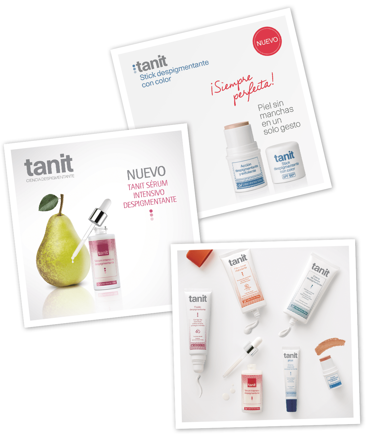 Tanit Timeline 2016 (1) Tanit Timeline 20216