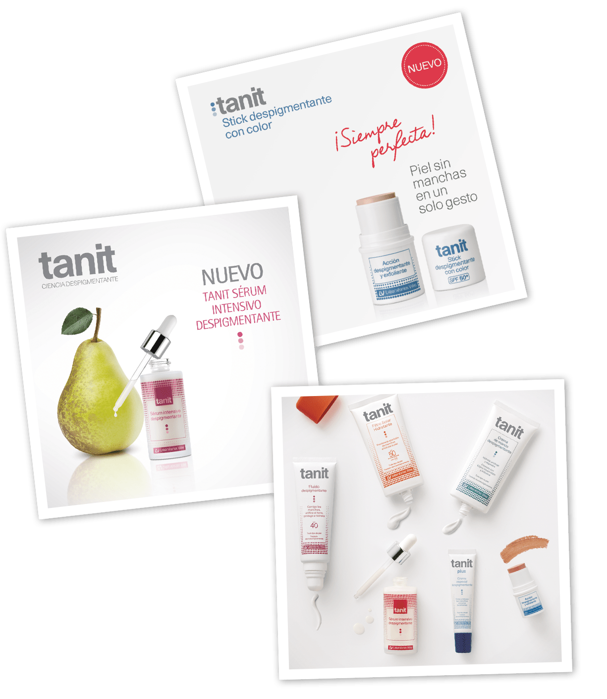 Tanit Timeline 20216