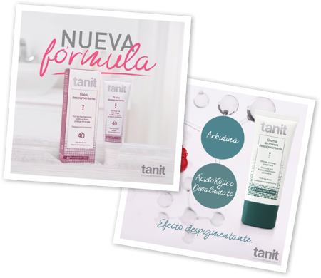 Productos Tanit 2019